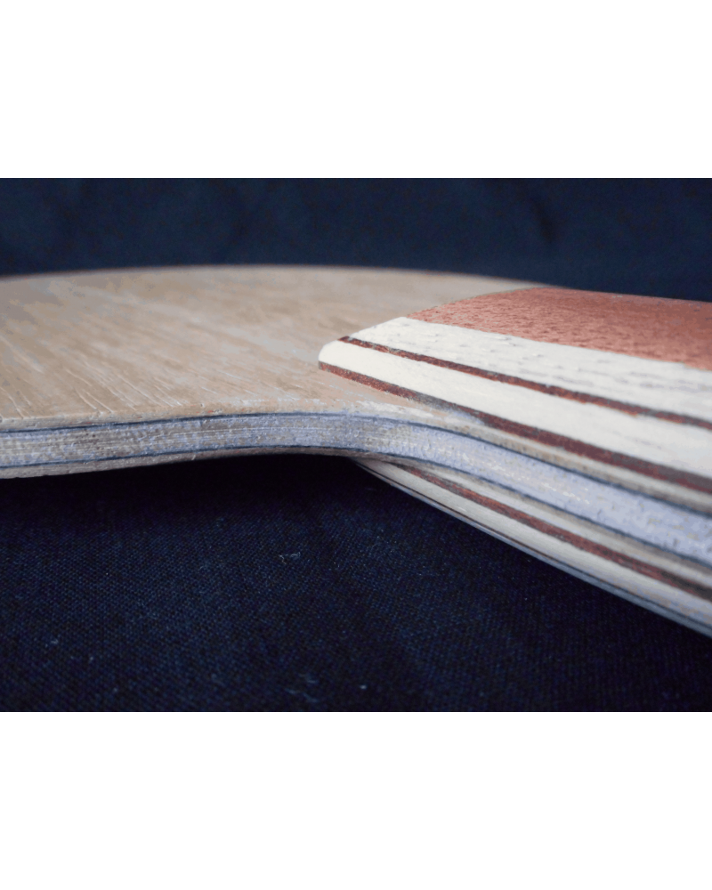 VODAK Antares Carbon ALL +